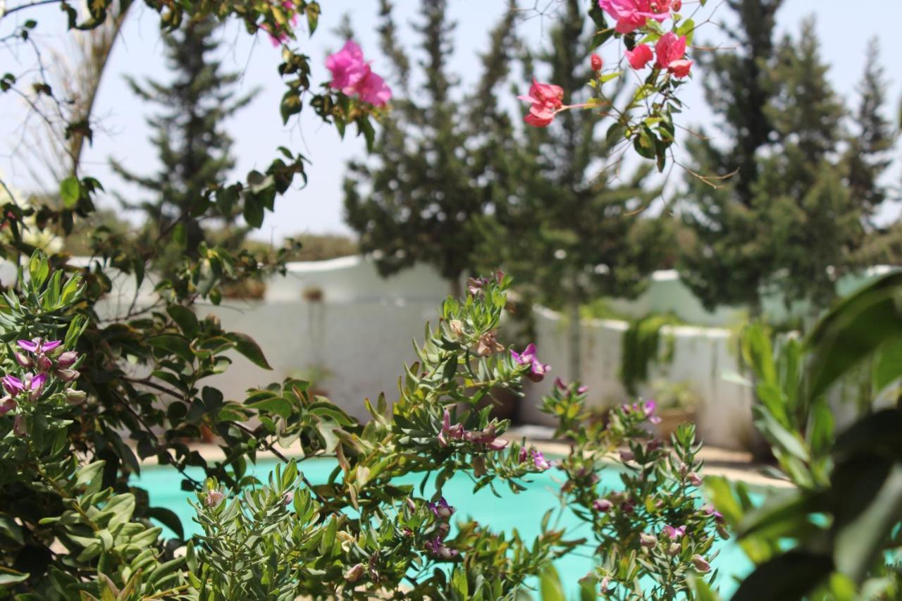 Riad Sanam As-Sawíra Exteriér fotografie