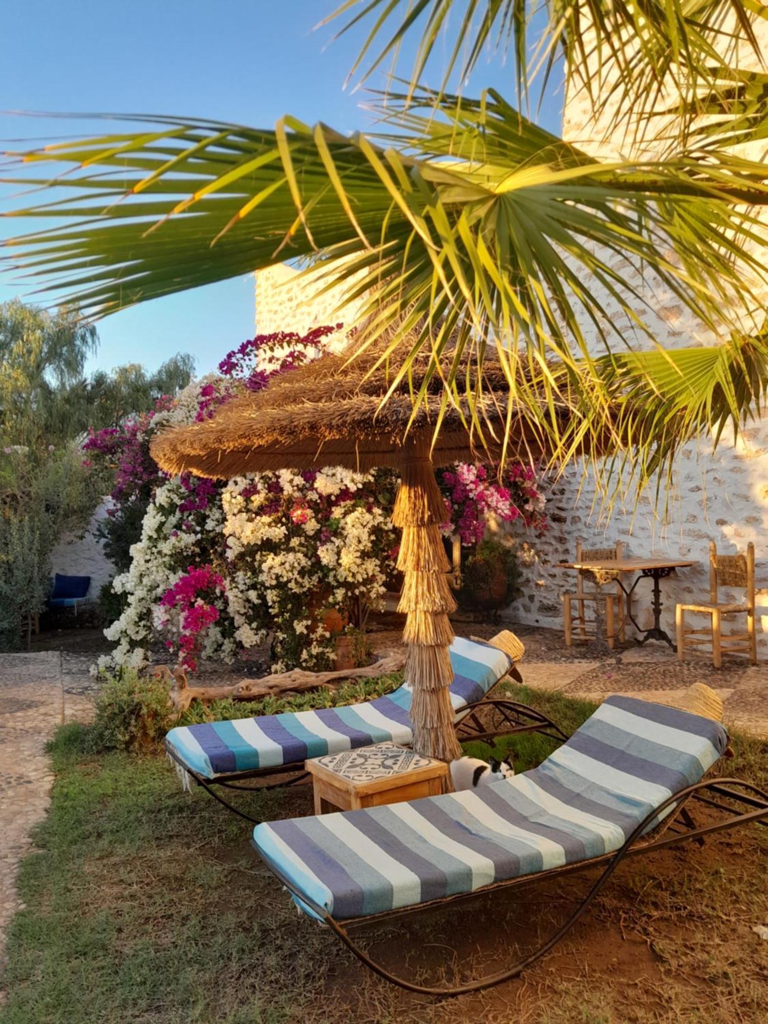 Riad Sanam As-Sawíra Exteriér fotografie