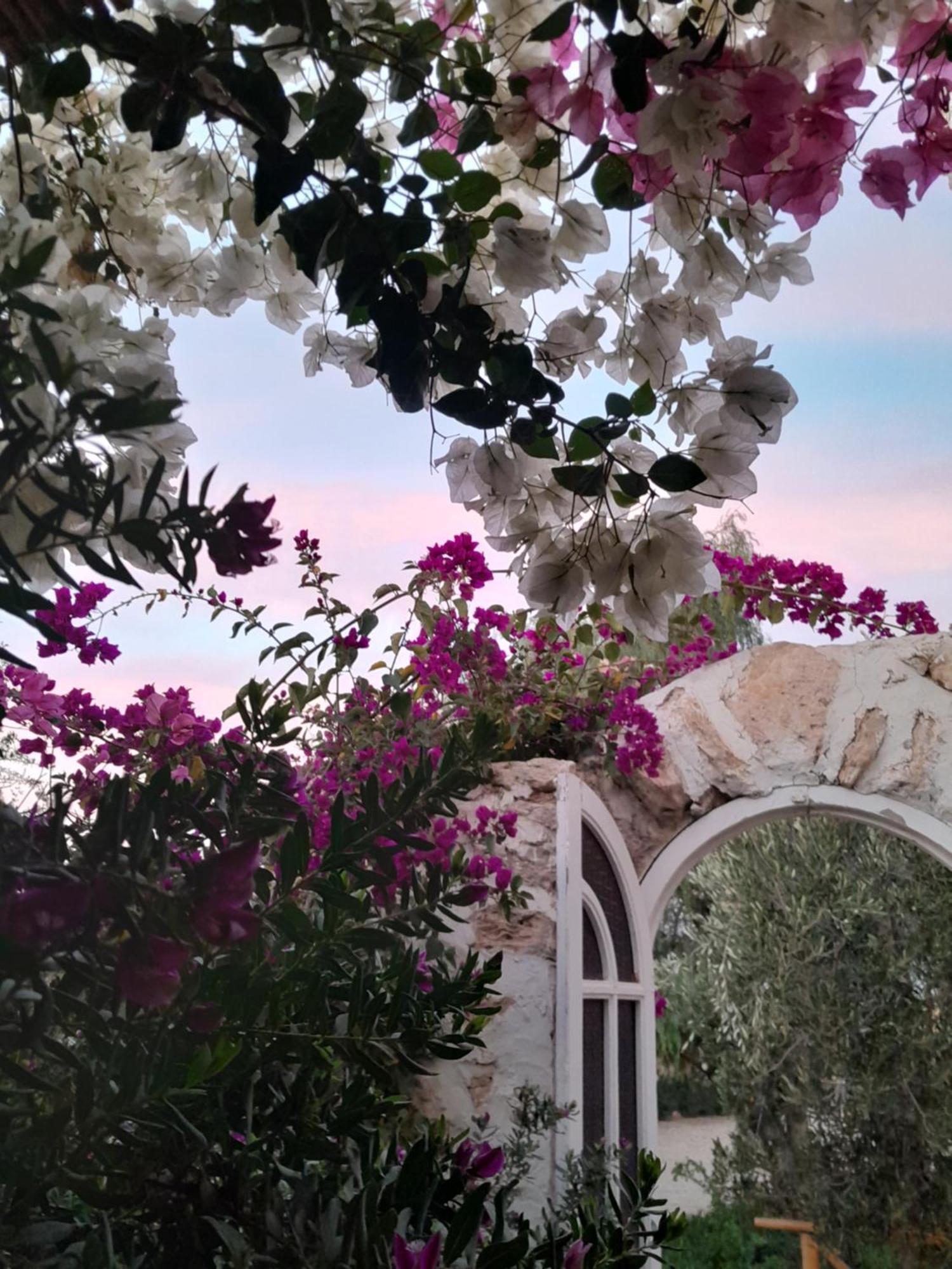 Riad Sanam As-Sawíra Exteriér fotografie