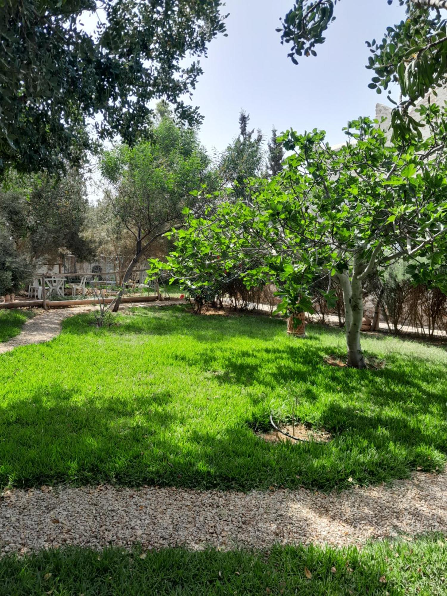Riad Sanam As-Sawíra Exteriér fotografie