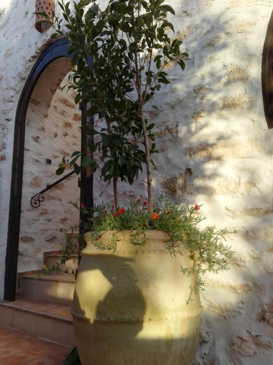 Riad Sanam As-Sawíra Exteriér fotografie
